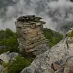 Blackwater in Fog