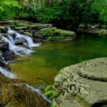 Campbell Falls at Camp Creek State Park, Mercer County, Bluestone Region