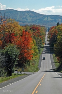 Canaan Valley Highway, Tucker County, Allegheny Highlands Region