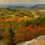 Canaan Valley State Park, Canaan Valley, Allegheny Highlands Region