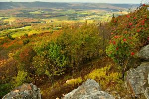 Vista of Canaan Valley, Canaan Valley State Park, Tucker County, Allegheny Highlands