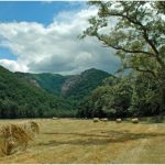 Champe Rocks near Seneca Rocks, Grant County, Potomac Branches Region