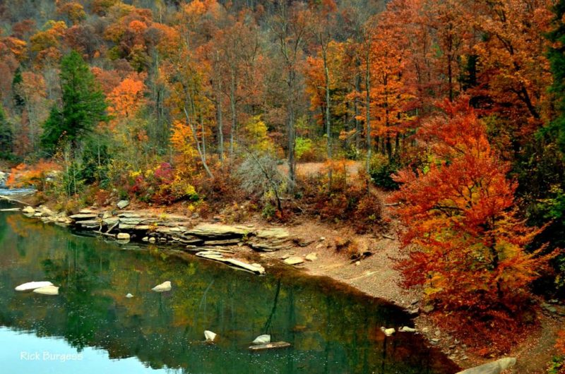 Cheat River, Preston County, Allegheny Highlands Region