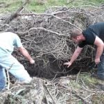 Inspecting cave entrance in Randolph County