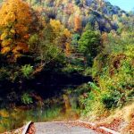 Coal River, Boone County, Hatfield & McCoy Region