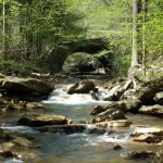 Drawdy Creek in Boone County near Peytona, WV, Hatfield & McCoy Region
