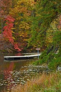 Dock on Plum Orchard Lake, Plum Orchard Lake Wildlife Management Area, New River Gorge Region