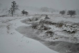 Driven snow, White Grass, Allegheny Highlands Region