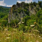 Eagle Rock at Smoke Hole, Pendleton County, Potomac Branches Region
