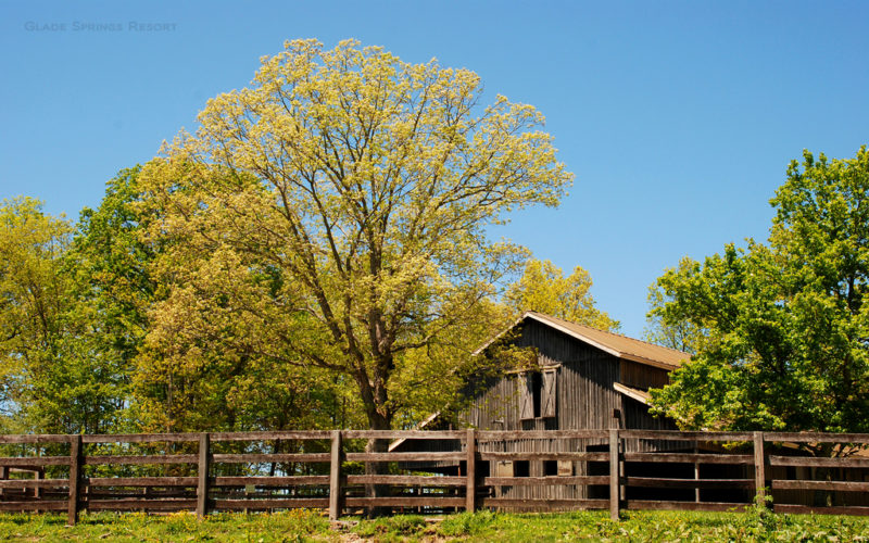 Equestrian center at Glade Springs Resort, Daniels, WV, New River Gorge Region