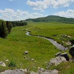 Pasture near Gandy Creek, Sinks of Gandy, WV, Randolph County, Allegheny Highlands Region