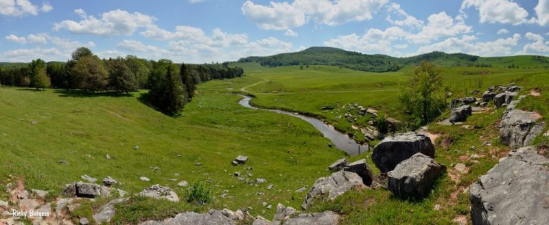 Gandy Creek Landscape