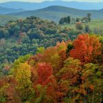 Landscape in Grant County, Potomac Branches Region