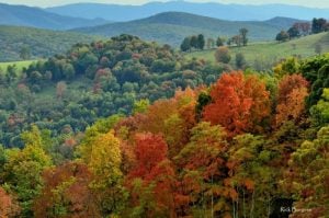 Landscape in Grant County, Potomac Branches Region