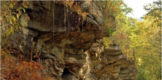 Cliffs in Hacker Valley, Webster County, Allegheny Highlands Region