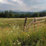 Mended fence in highland pasture
