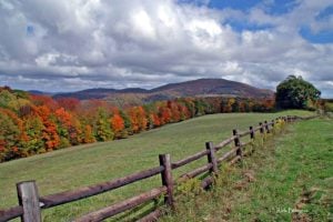Field along Highland Scenic Highway, Pocahontas County, Allegheny Highlands Region