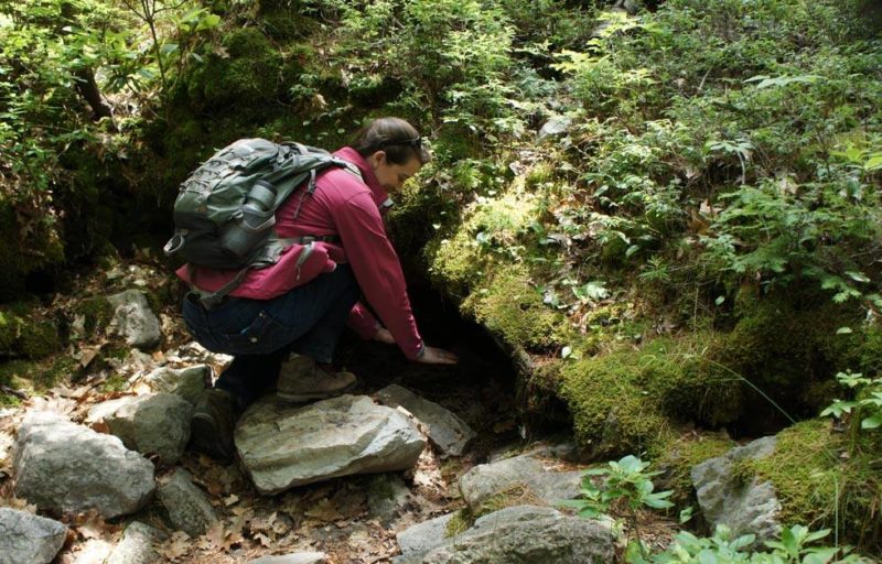 A caver explores at vent at Ice Mountain in Hampshire County, West Virginia (WV).