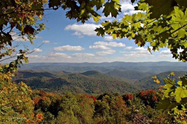 Vista at Kumbrabow State Forest, State Forests, Allegheny Highlands Region