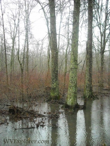 Meadow River Wildlife Management Area, Greenbrier County, Greenbrier Valley Region