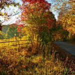 Backroad in Mercer County, Bluestone Region