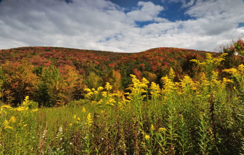 Autumn in the Allegheny Mountains, Ed Rehbein, Allegheny Highlands Region