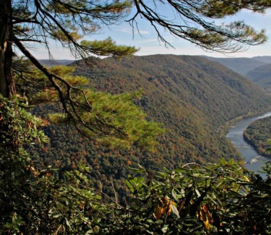 New River at Grandview, Raleigh County, New River Gorge National Park and Preserve, New River Gorge Region
