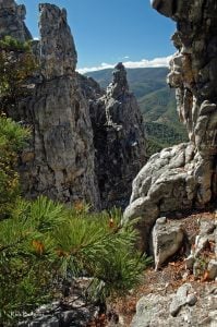 Spires on North Fork Mountain, West Virginia Crag, Pendleton County, Potomac Branches Region