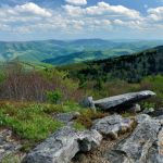 Pendeleton County, Potomac Branches Region