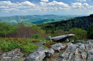 Pendeleton County, Potomac Branches Region