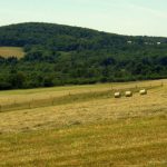 Pasture, Preston County, Allegheny Highlands Region