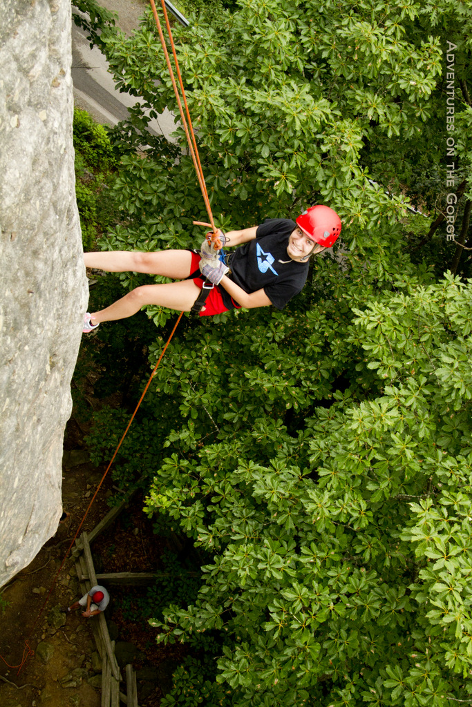 Above the treeline in New River Gorge, Climbing Areas. Adventures on the Gorge