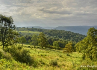 Saddle in New Creek Mountain, Mineral County, Potomac Branches Region