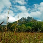 Seneca Rocks from Pasture, Pendleton County, Potomac Branches Region
