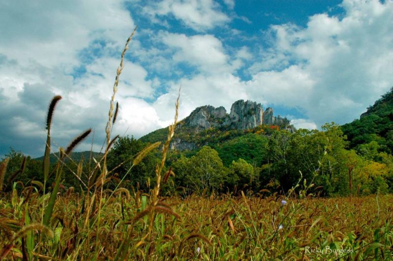 Seneca Rocks from North Fork pasture