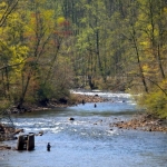 Anglers on Shavers Fork