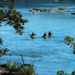 Paddlers on Shenandoah River, Eastern Panhandle Region