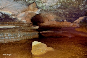 Inside the Sinks of Gandy, Randolph County, Allegheny Highlands Region