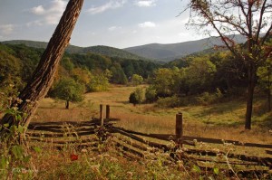 Smoke Hole Countryside, West Virginia Regions, Monongahela National Forest, Potomac Branches Region