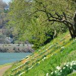 Spring along the Kanawha River, Charleston, WV, Kanawha County, Metro Valley Region