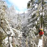 Guests on canopy tour in winter, Adventures on the Gorge