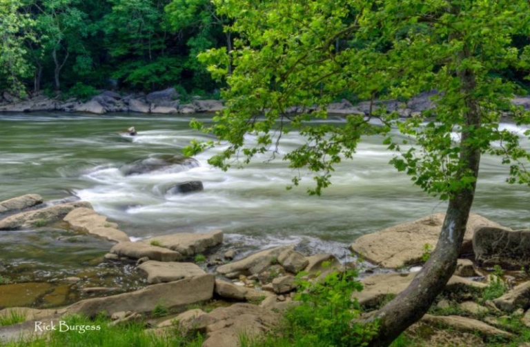 Tygart Valley River West Virginia Explorer