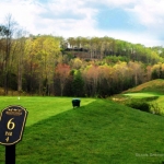 No. 6 at Woodhaven Course