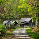 Woodland cabin at Twin Falls