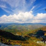 Autumn on the North Fork, North Fork Mountain, Potomac Branches Region