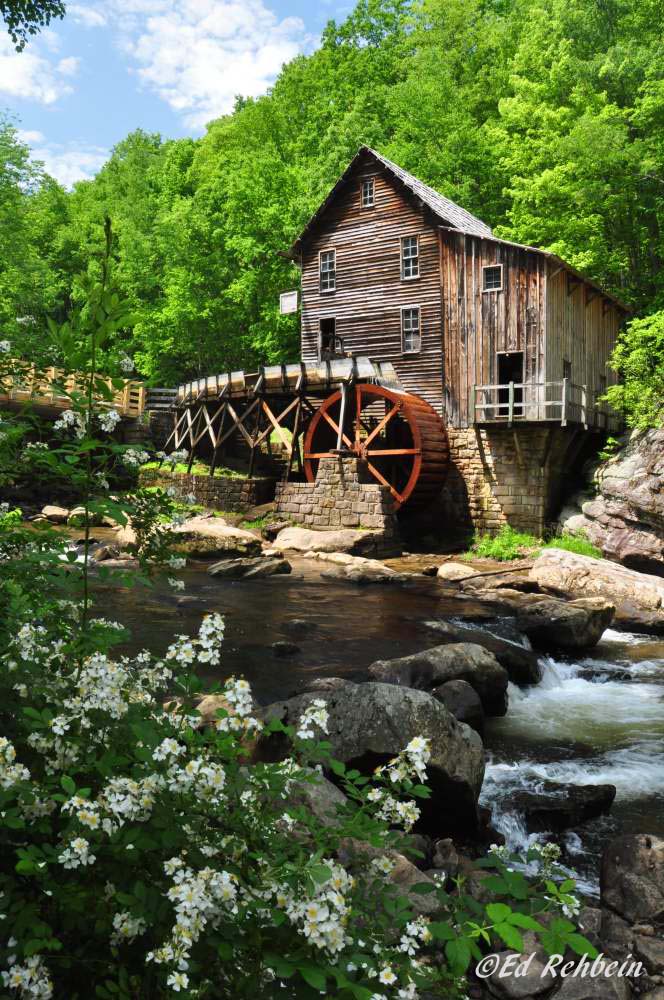 Early Summer at Babcock Mill