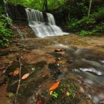 Lower falls on Big Branch, Summer County, New River Gorge Region