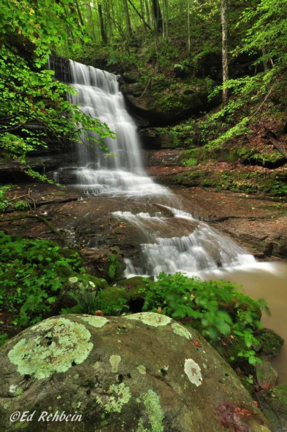 Trail Guide Picks His Top Three Hikes In The New River Gorge National 