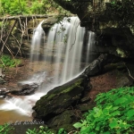 Upper Falls of Hills Creek, Hillsboro, West Virginia, Monongahela National Forest, Allegheny Highlands Region