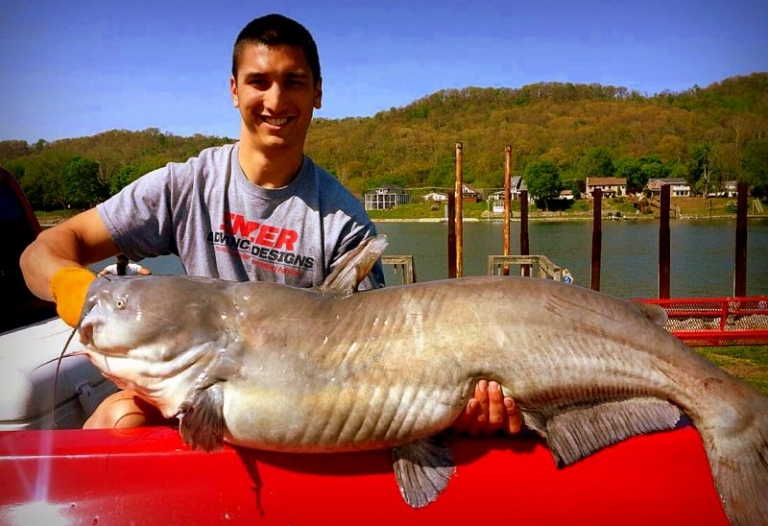 State confirms W.Va. record blue catfish taken in Ohio River